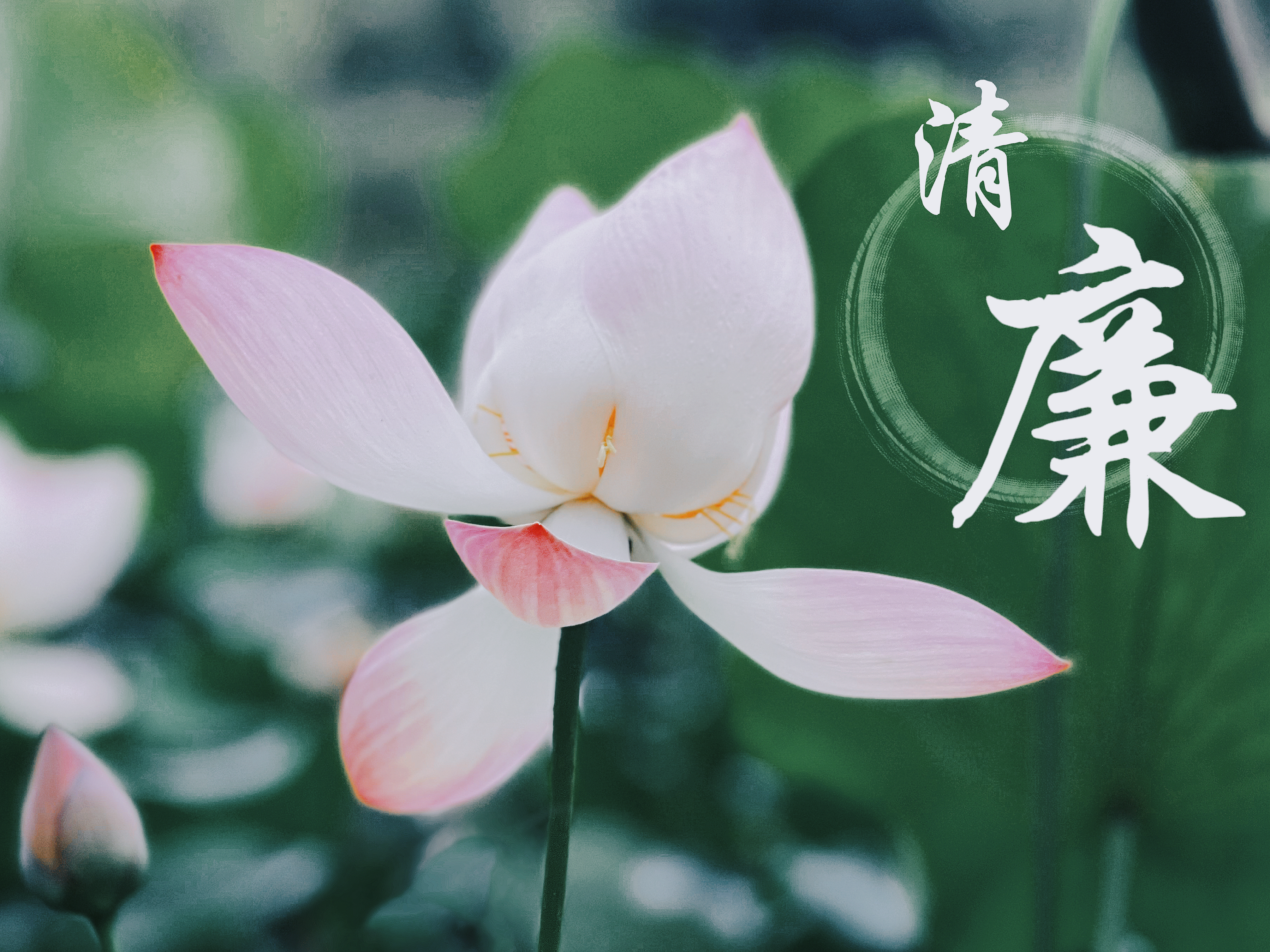 Ӯ(VWIN)ٷվ-ACٷ